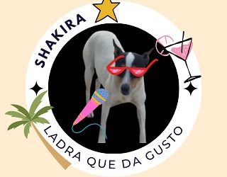 «Cada día una oportunidad»: la nueva campaña que promueve la adopción de perros abandonados en la provincia de Salamanca