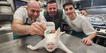 El tostón de Peñaranda brillará con luz propia en Madrid Fusión de la mano de Los Álamos Gastrolab y el producto de Pedro García