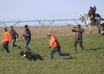 Morería de Suerte (Castilla y León) y Chirivia de Morix (Castilla La Mancha) lucharán por la corbata en el LXXXVII Nacional de Galgos