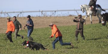 Morería de Suerte (Castilla y León) y Chirivia de Morix (Castilla La Mancha) lucharán por la corbata en el LXXXVII Nacional de Galgos