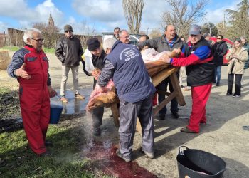 Rágama disfruta de la IV edición de la matanza popular con un gran ambiente y degustaciones de los productos del cerdo
