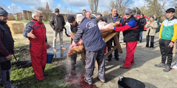 Rágama disfruta de la IV edición de la matanza popular con un gran ambiente y degustaciones de los productos del cerdo
