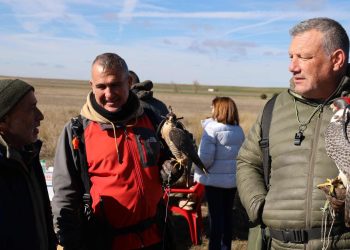 Cantalapiedra reúne en el Troreal a los mejores cetreros del país y a cientos de espectadores siguiendo los vuelos de los halcones