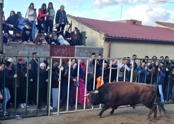 «Neptuno» y «Cigarrero» llenan las calles de Babilafuente en el festejo del Toro de San Blas epicentro de las fiestas de invierno