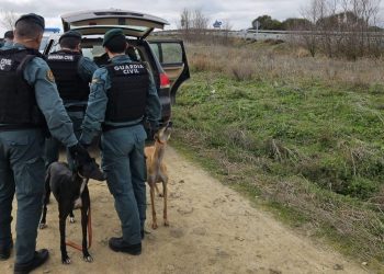 Tres cazadores furtivos procedentes de Extremadura detenidos en la operación de la Guardia Civil que finalizó ayer en Peñaranda