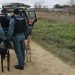 Tres cazadores furtivos procedentes de Extremadura detenidos en la operación de la Guardia Civil que finalizó ayer en Peñaranda