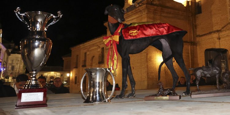 La salmantina Morería de Suerte gana el Campeonato Nacional de Galgos en Campo en una gran final frente a Chirivia de Morix