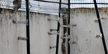 Peñaranda en Común tacha de “deplorable” la situación de la valla perimetral del polideportivo municipal al aire libre Lorena Martín