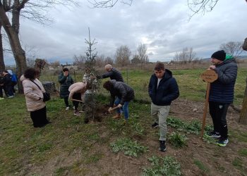 «El bosque de Belén» nace en el colegio de Villoria en homenaje a una profesora del centro fallecida el pasado mes de febrero