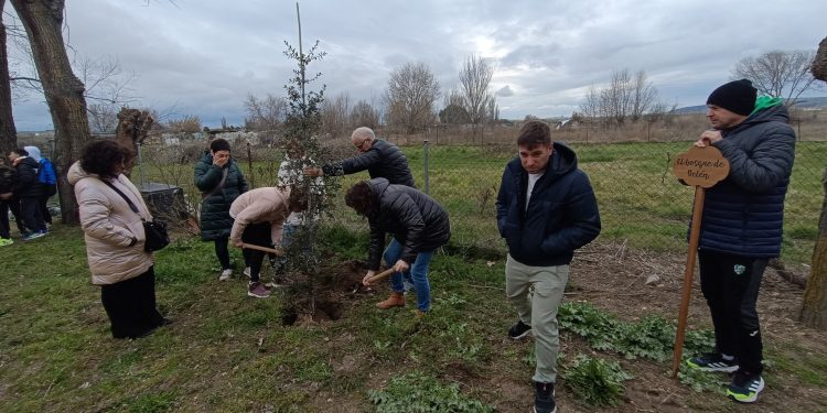 «El bosque de Belén» nace en el colegio de Villoria en homenaje a una profesora del centro fallecida el pasado mes de febrero