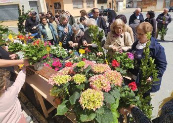 Villoruela se suma con gran éxito a la campaña solidaria de Las Villas con la venta de flores, plantas y dulces en la plaza