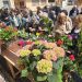 Villoruela se suma con gran éxito a la campaña solidaria de Las Villas con la venta de flores, plantas y dulces en la plaza