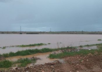 UPA denuncia los importantes daños que causan las lluvias en el campo salmantino por la falta de limpieza de arroyos y regatos