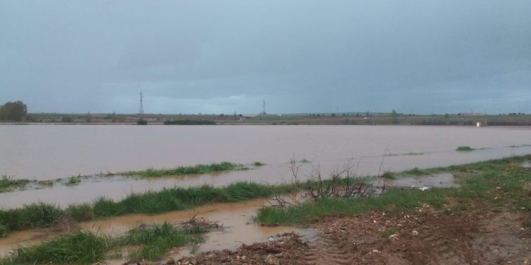 UPA denuncia los importantes daños que causan las lluvias en el campo salmantino por la falta de limpieza de arroyos y regatos