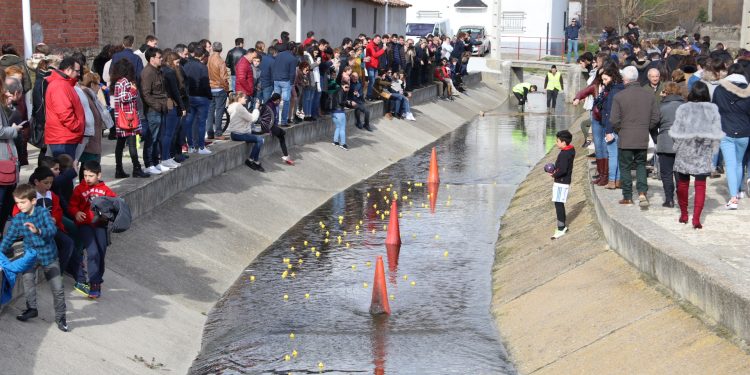 Alaraz recupera su carrera de patitos de goma en un intenso fin de semana previo a la esperada romería del Lunes de Aguas