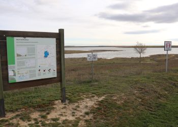 El azud de Riolobos: el gran paraíso ornitológico de la comarca y un recurso clave para el desarrollo socioeconómico de la zona