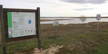 El azud de Riolobos: el gran paraíso ornitológico de la comarca y un recurso clave para el desarrollo socioeconómico de la zona