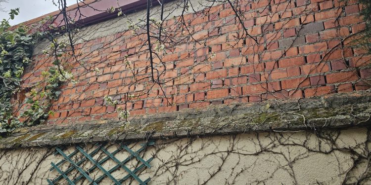 Denuncia en Peñaranda: una vecina lleva tres años esperando que el Ayuntamiento enluzca la pared de La Huerta que da a su patio