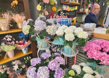 Floristería Martina en Peñaranda ofrece la más amplia selección de flores y plantas para celebrar este domingo el Día de la Madre