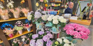 Floristería Martina en Peñaranda ofrece la más amplia selección de flores y plantas para celebrar este domingo el Día de la Madre