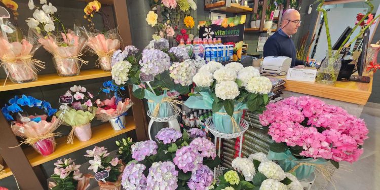 Floristería Martina en Peñaranda ofrece la más amplia selección de flores y plantas para celebrar este domingo el Día de la Madre