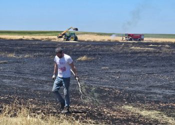 Primer incendio de la temporada en Nava de Sotrobal con una gran columna de humo visible desde varias zonas de la comarca