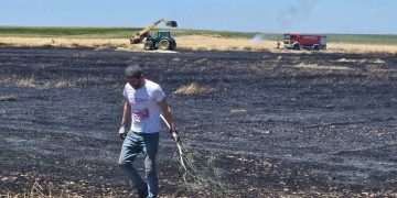 Primer incendio de la temporada en Nava de Sotrobal con una gran columna de humo visible desde varias zonas de la comarca