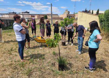 Un nogal y dos cerezos para Peñaranda: el símbolo de naturaleza viva que ha compartido el grupo de yoga con toda la localidad