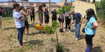Un nogal y dos cerezos para Peñaranda: el símbolo de naturaleza viva que ha compartido el grupo de yoga con toda la localidad