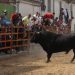 Cantalpino recibe a cientos de aficionados y público de la comarca para presenciar en sus calles la VIII edición del Toro de San Isidro