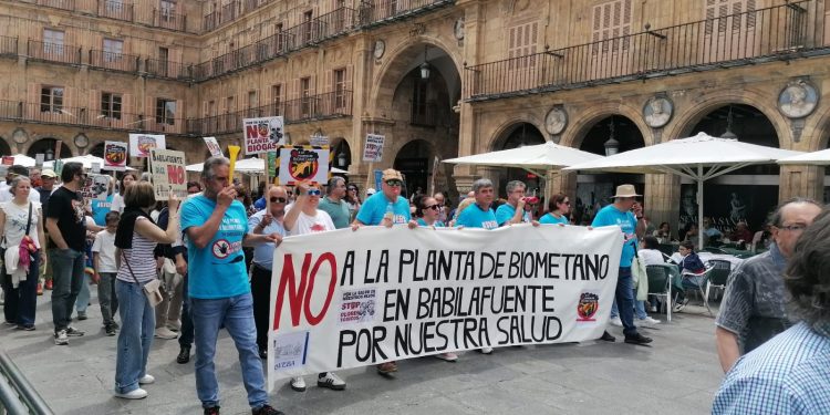 ASVEBA de Babilafuente participa en la manifestación conjunta celebrada en Salamanca capital contra las plantas de biogás