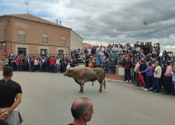 La III edición del Toro de la Misericordia llena de aficionados la villa de Cantalapiedra para ver a «Deseadito» y «Jumillano»