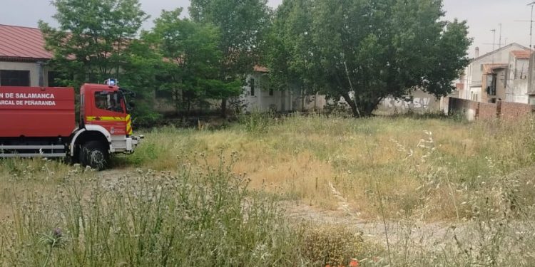 Los Bomberos sofocan en Peñaranda un conato de incendio en un solar lleno de maleza junto a la carretera de Medina