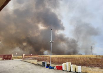 Un gran incendio en cultivos desata la alarma en Malpartida y es ya visible desde varias zonas de Alaraz e incluso Peñaranda