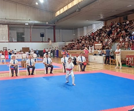 karate 65