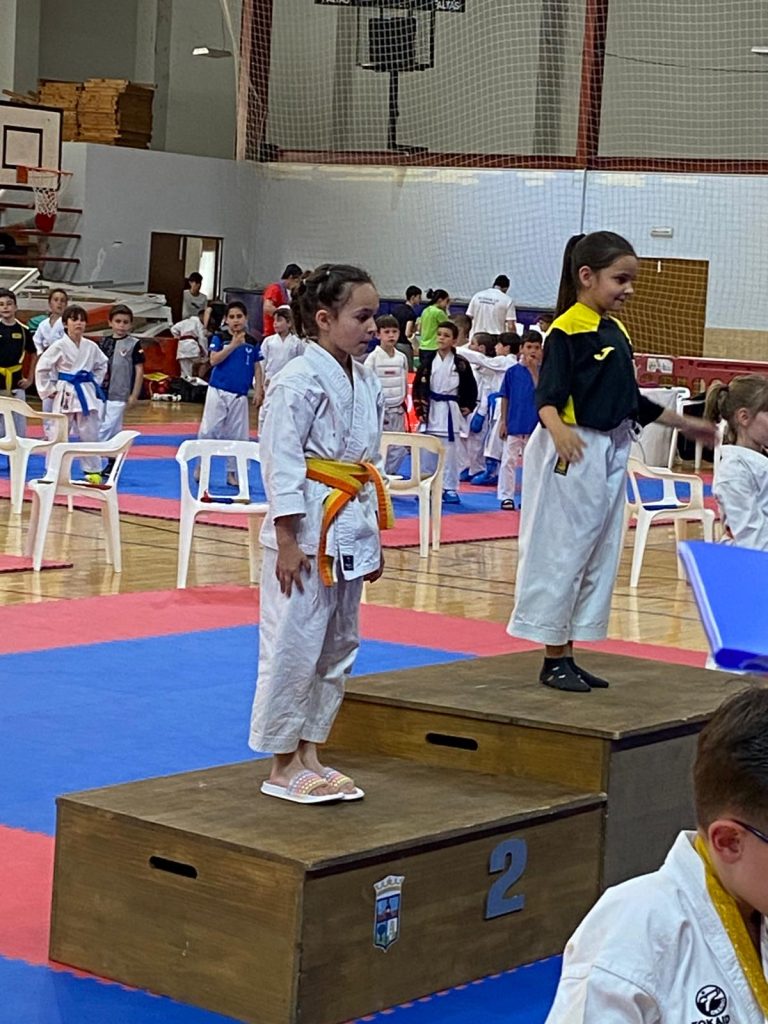 karate 68