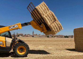 Premio para tres hermanos de Palaciosrubios por su desafío para optimizar el compostaje y minimizar el efecto invernadero