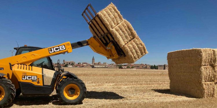 Premio para tres hermanos de Palaciosrubios por su desafío para optimizar el compostaje y minimizar el efecto invernadero