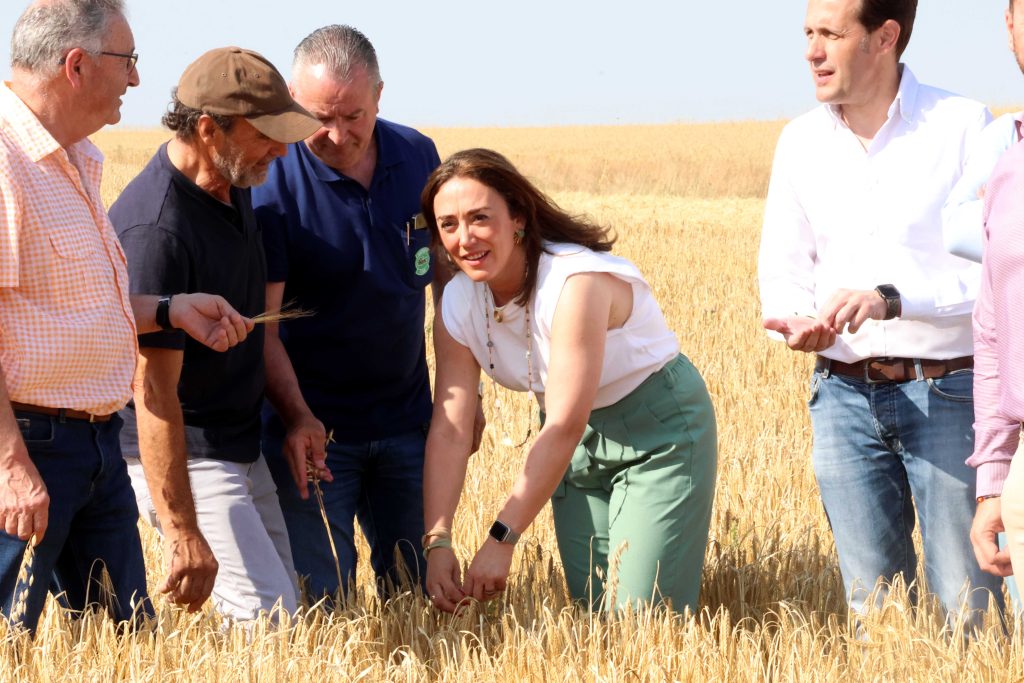 20250704DATOSCOSECHA04