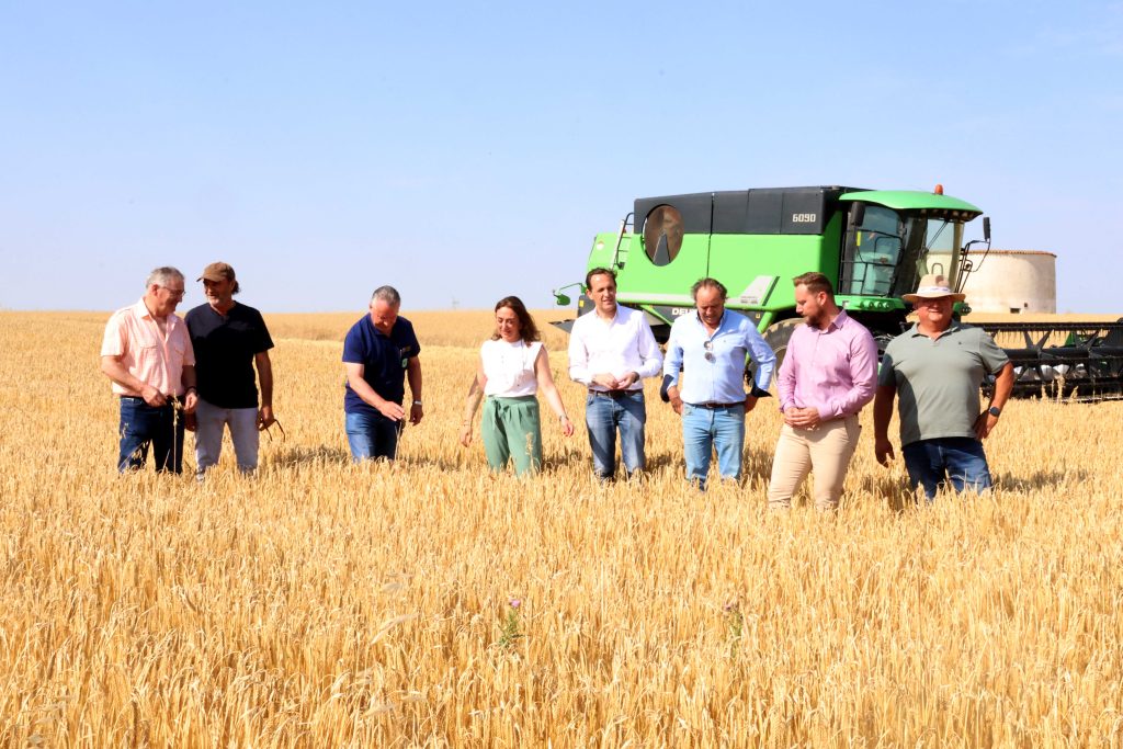 20250704DATOSCOSECHA05