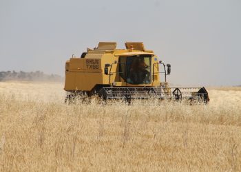 La Junta ofrece ayudas por valor de 100 millones de euros para favorecer la modernización y el relevo generacional del campo