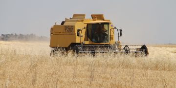 La Junta ofrece ayudas por valor de 100 millones de euros para favorecer la modernización y el relevo generacional del campo