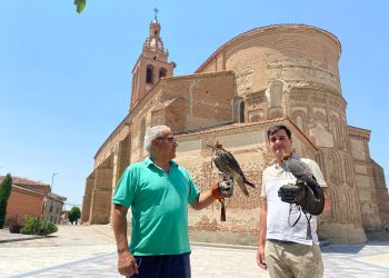 Rágama acogerá el 20 y 21 de diciembre la III edición del Trofeo Legendario de Altanería con los mejores halcones de España