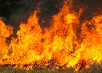 Un incendio arrasa casi 9 hectáreas de cultivos en Cantaracillo y obliga a intervenir a medios aéreos y terrestres en su extinción