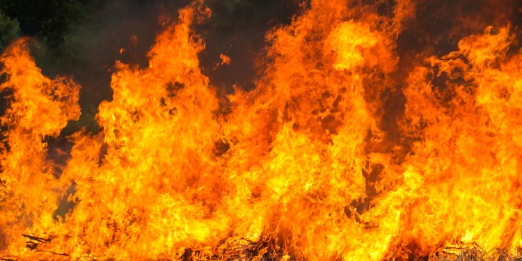 Un incendio arrasa casi 9 hectáreas de cultivos en Cantaracillo y obliga a intervenir a medios aéreos y terrestres en su extinción