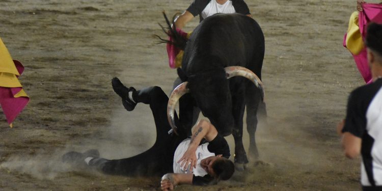 El recortador peñarandino Sergio García sufre una aparatosa cogida en Santa Marta de Tormes durante el «Charro de Oro»