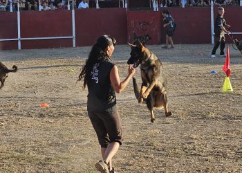 Villoruela disfruta en la plaza de toros con la exhibición canina que ha dado paso a una gran parrillada en la zona de acampada
