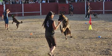 Villoruela disfruta en la plaza de toros con la exhibición canina que ha dado paso a una gran parrillada en la zona de acampada
