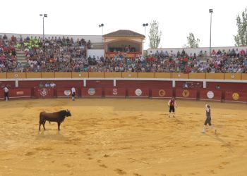 Macotera entona su particular «pobre de mí» en la despedida de las fiestas de San Roque con tarde de recortes y tributo a Estopa