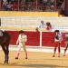 Tarde de toros en Peñaranda con Sergio Pérez, Manuel Escribano e Ismael Martín y un recuerdo a Jero Madrid en el tendido